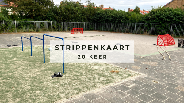 Strippenkaart 20x